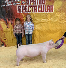 Rosenbaum Livestock Winners