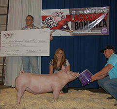 Rosenbaum Winners