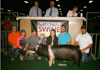Rosenbaum Winners