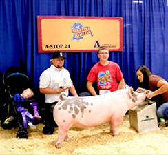 Rosenbaum Livestock Winners