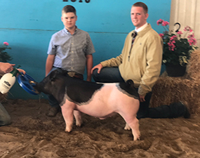 Rosenbaum Livestock Winners