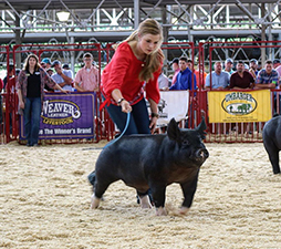 Rosenbaum Livestock Winners