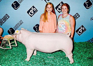 Rosenbaum Livestock Winners
