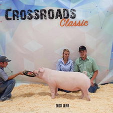 Rosenbaum Livestock Winners