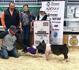 Rosenbaum Livestock Winners