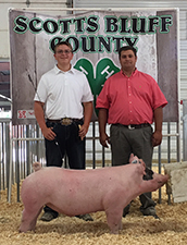 Rosenbaum Livestock Winners