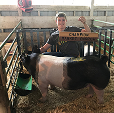Rosenbaum Livestock Winners