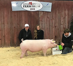 Rosenbaum Livestock Winners
