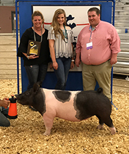 Rosenbaum Winners