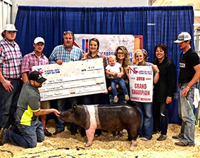 Rosenbaum Livestock Winners
