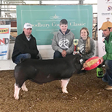 Rosenbaum Livestock Winners