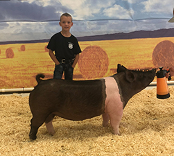 Rosenbaum Livestock Winners