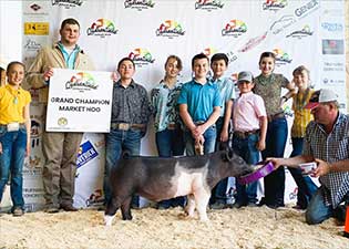 Rosenbaum Winners